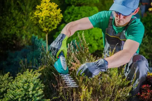 landscaping services Kings Park
